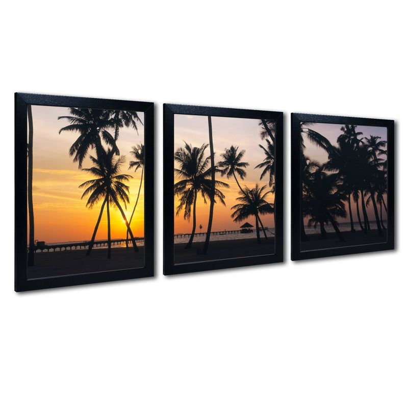 3pc Palm Dream by David Evans - Trademark Fine Art