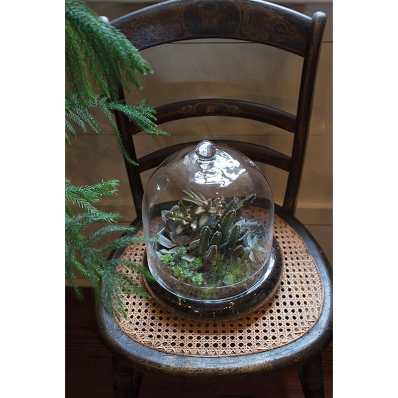 Syndicate Home Gardens Indoor or Patio Round Glass Terrarium Cloche with Built In Air Holes, 10 x 11.38 Inches