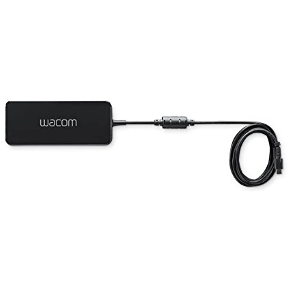 Wacom Power Adapter, USB-C 100W (ACK42714)
