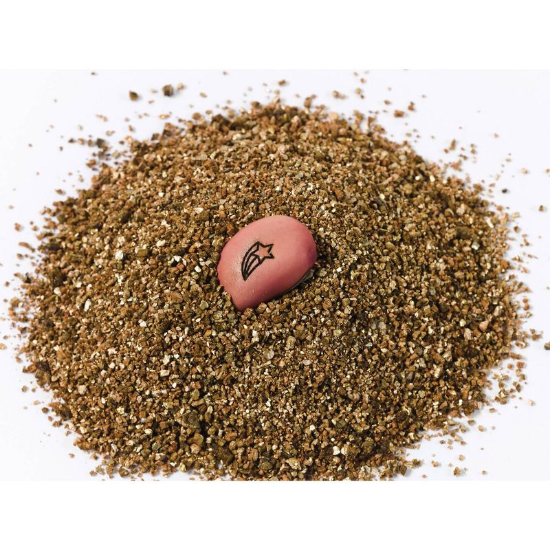 Creativity for Kids Magic Bean Garden Activity Kit