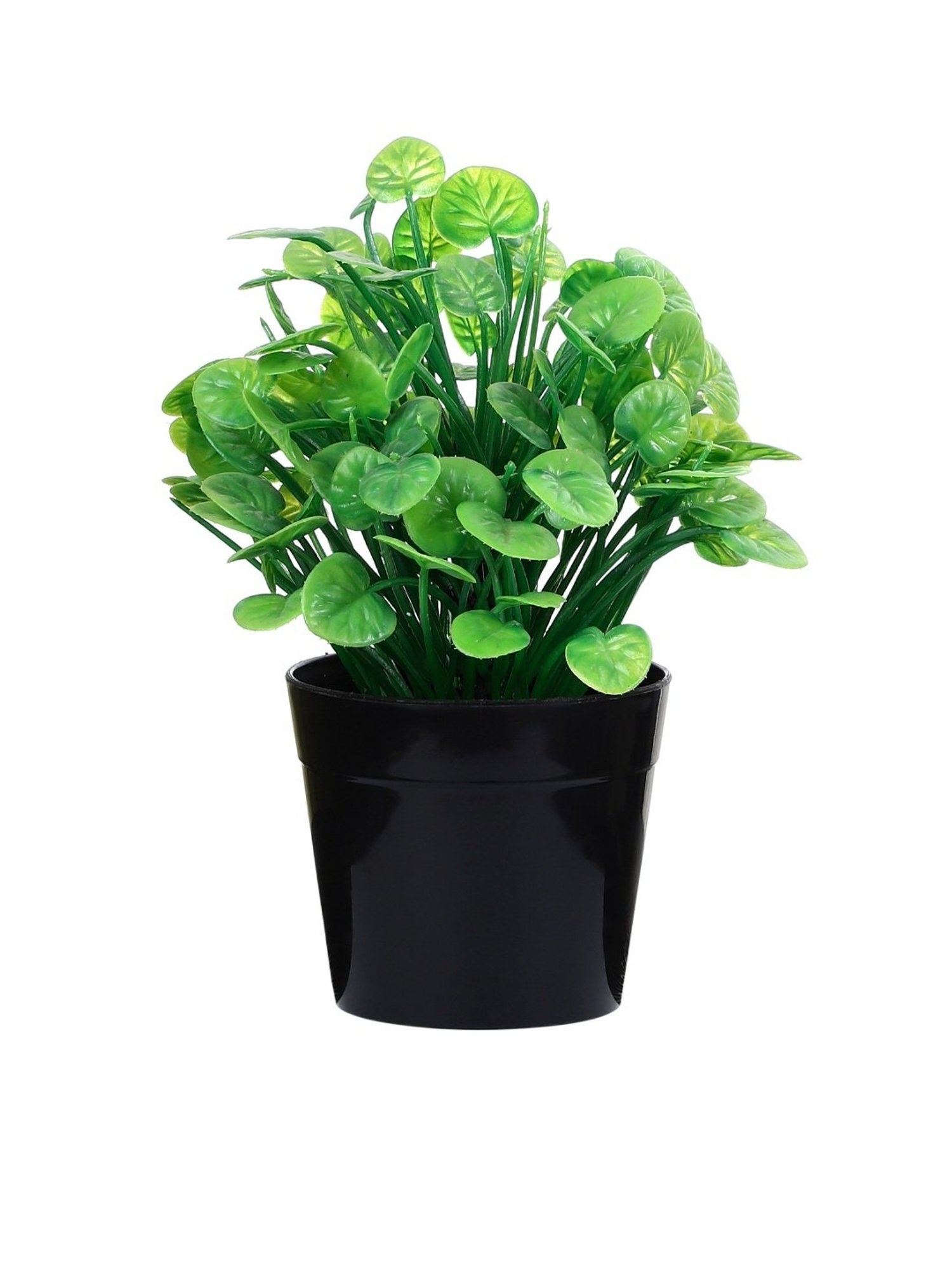Foliyaj Multicolor Plastic Artificial Water Cress Plant with Pot