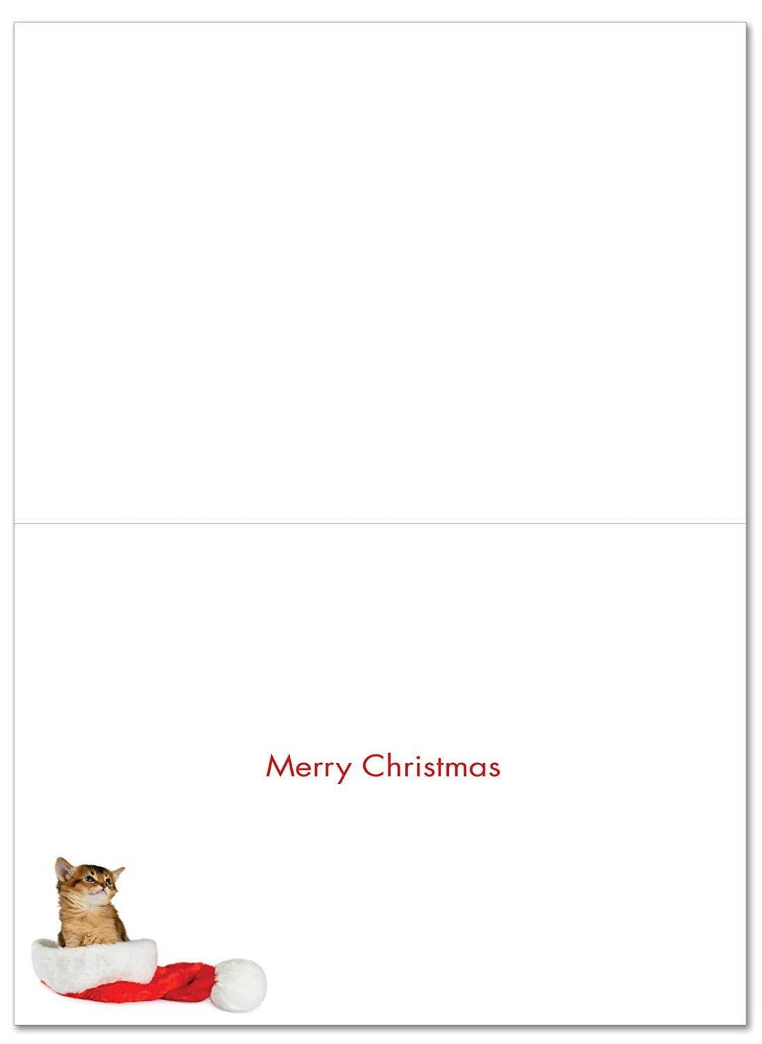 B6687FXSG Box Set of 12 Santa Cats Christmas Card Featuring a Sweet Kitty Wearing a Santa's Hat; with Envelopes