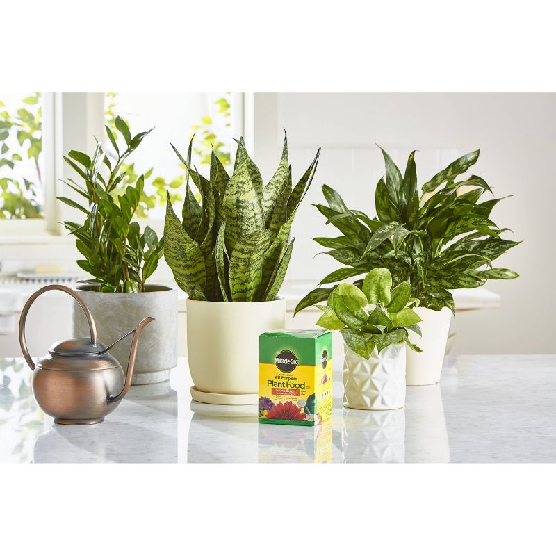 Miracle-Gro Water Soluble All Purpose Plant Food 1.5lb