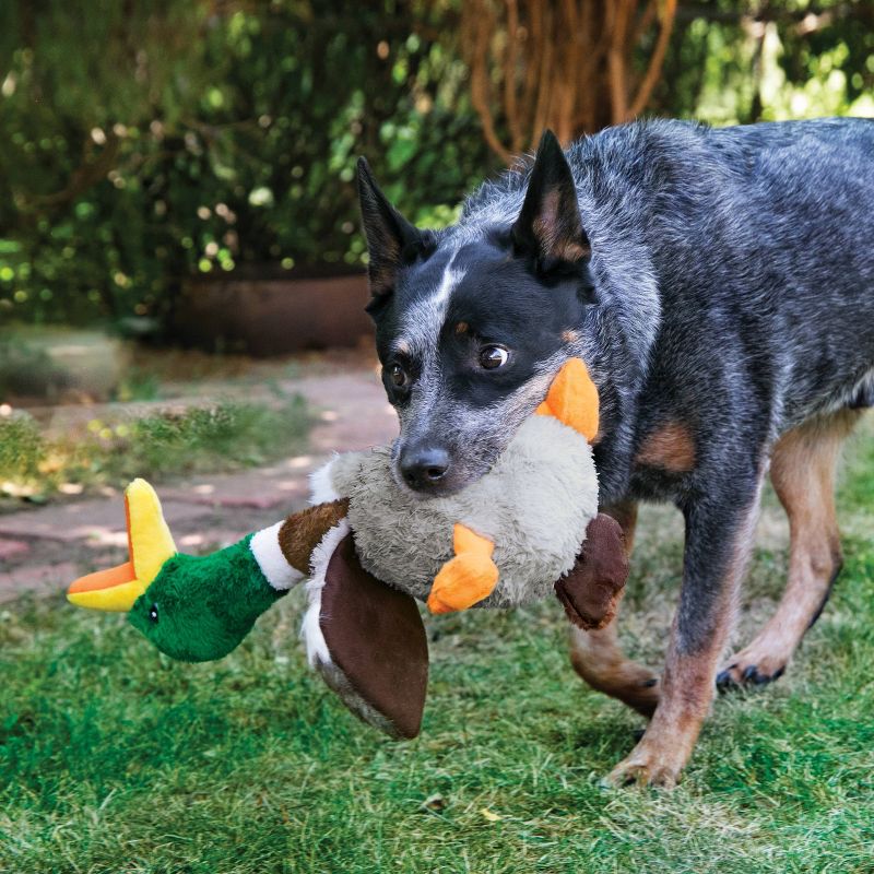 KONG Shakers Honkers Duck Dog Toy - S