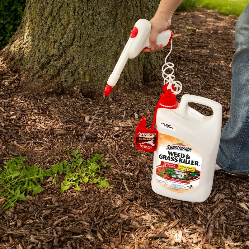 1.33gal Weed & Grass Killer AccuShot Sprayer - Spectracide