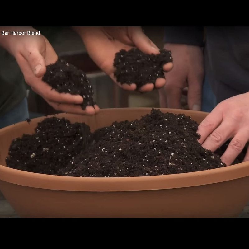 Coast of Maine OMRI Listed Bar Harbor Blend Organic Compost Potting Soil Blend for Container Gardens and Flower Pots, 8 Quart Bag