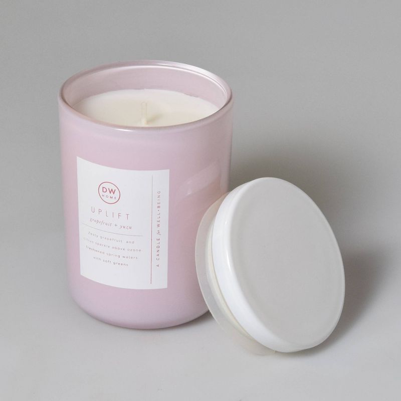 8oz Wellness Spa/Uplift Grapefruit and Yuzu Candle - DW Home