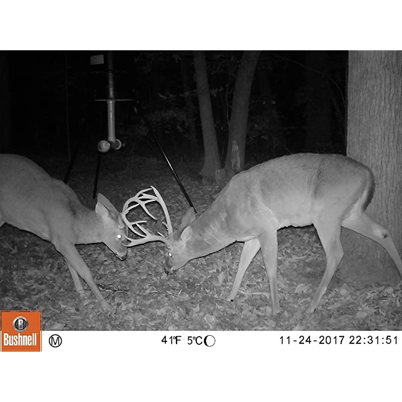 16MP Trophy Cam HD Essential E3 Trail Camera Brown