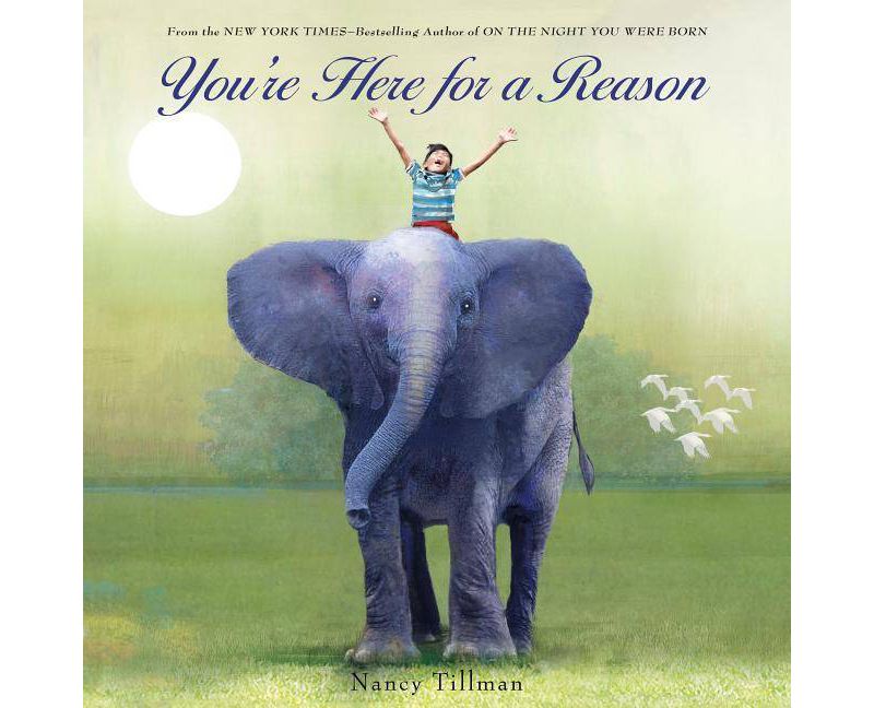 You're Here for a Reason - by Nancy Tillman (Board Book)