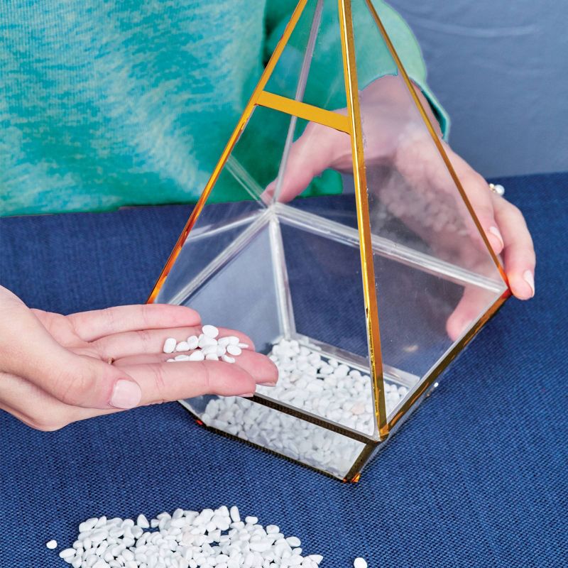 Craftivity Tropical Terrarium Garden Kit - Faber-Castell