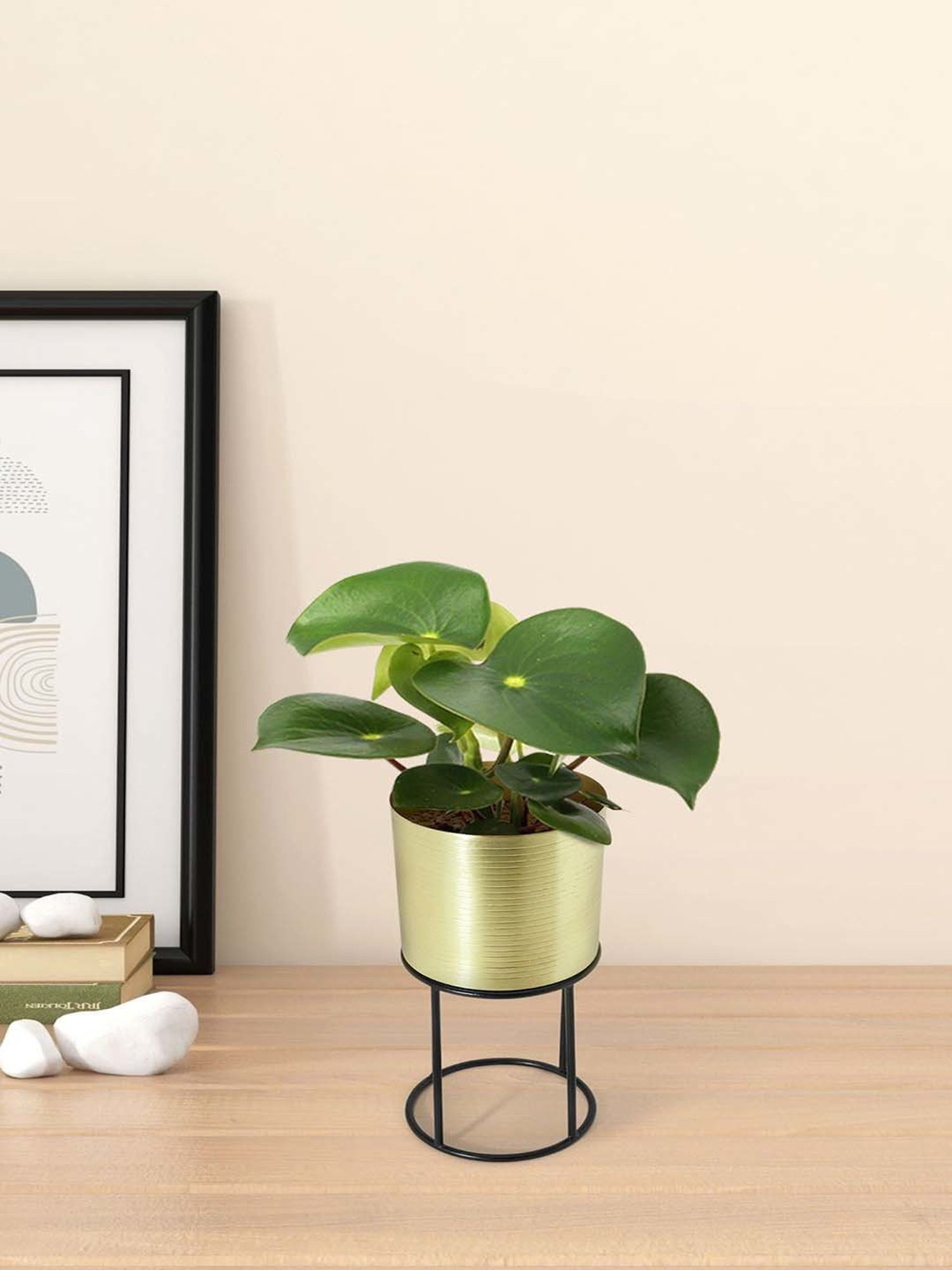 Living Scapes by Pantaloons Gold Metal Planter Vases