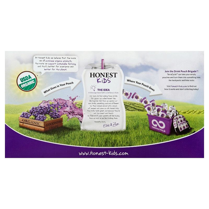 Tropicana Pineapple Mango Drink - 52 fl oz