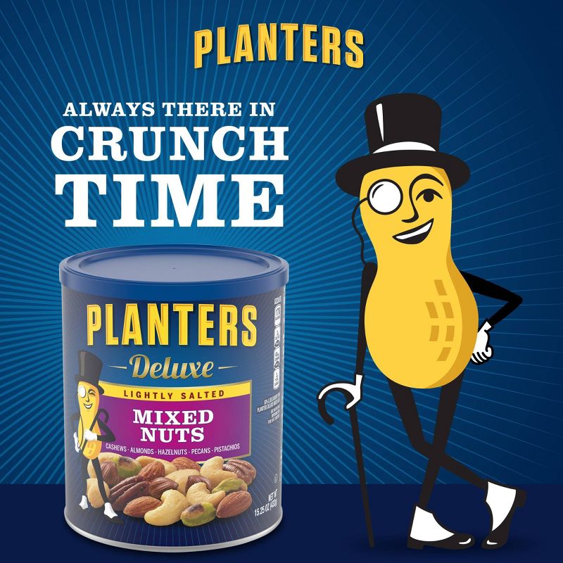 Planters Deluxe Lightly Salted Mixed Nuts-15.25oz