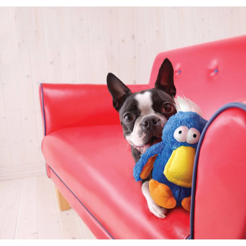 KONG DoDo Bird Dog Toy - Colors May Vary - M