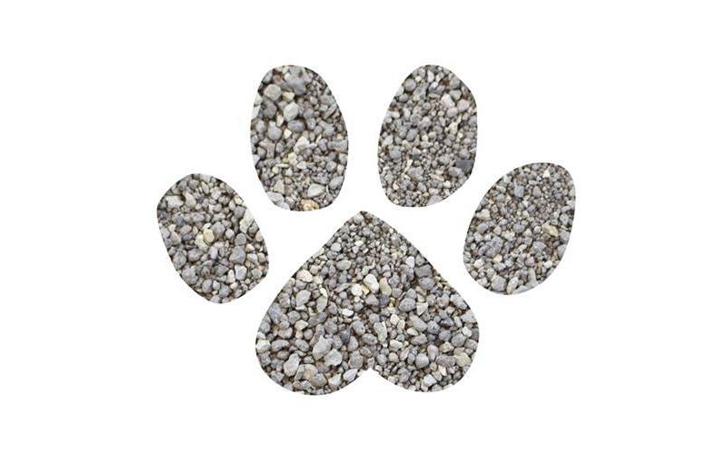 Dr. Elsey's Cat Attract Litter - 20lbs