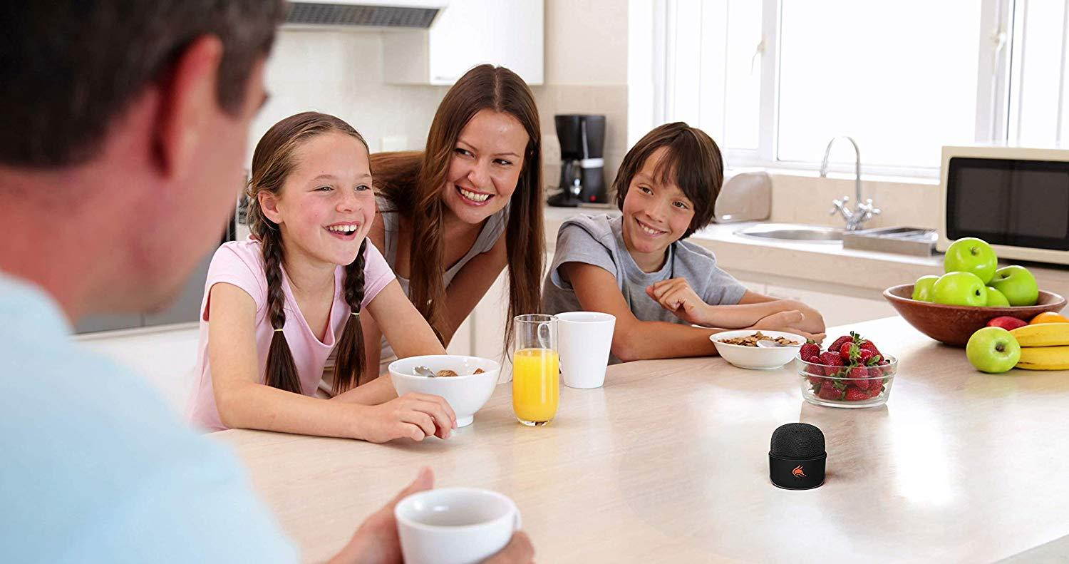 Mini Bluetooth Speaker with FM Radio &ndash; an Elegant Small Speaker with a Big 5W Sound. Wireless Speaker for iPhone, iPad, Smartphone. Pocket Size Portable (Black)