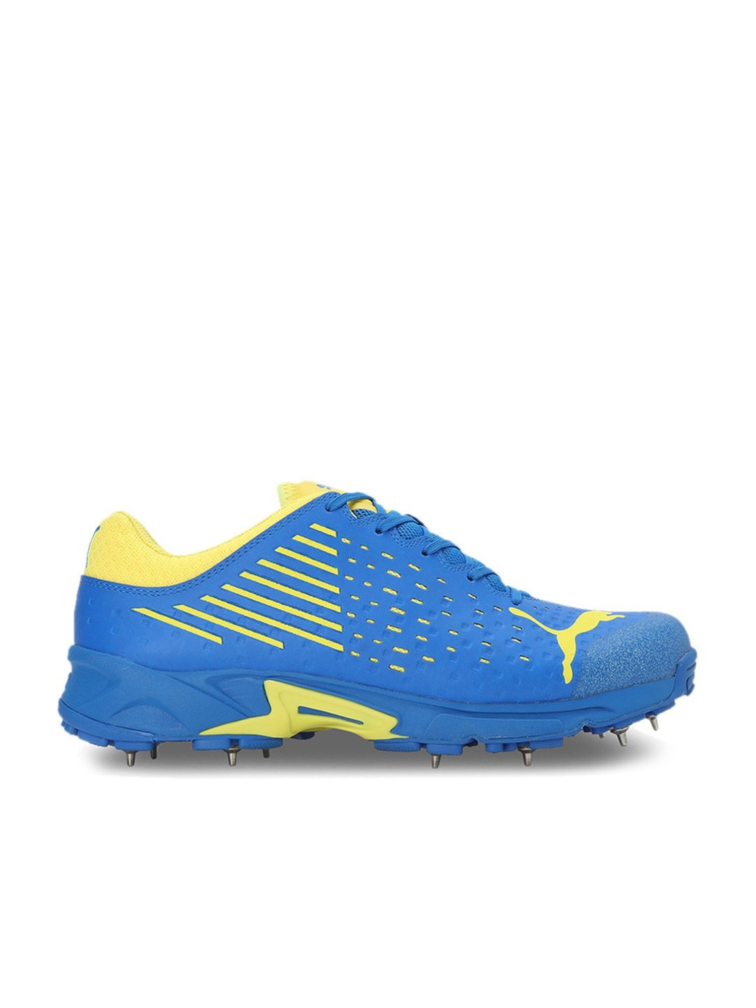 Puma Men's Spike 22.1 Blue Cricket Shoes