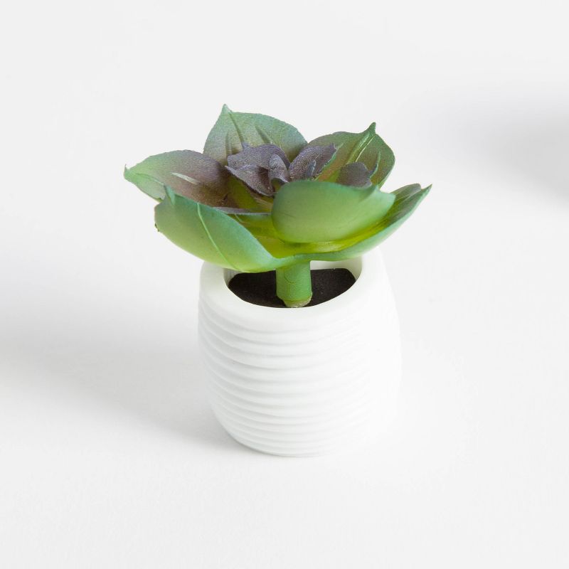 U Brands 3ct Succulent Plant Magnets