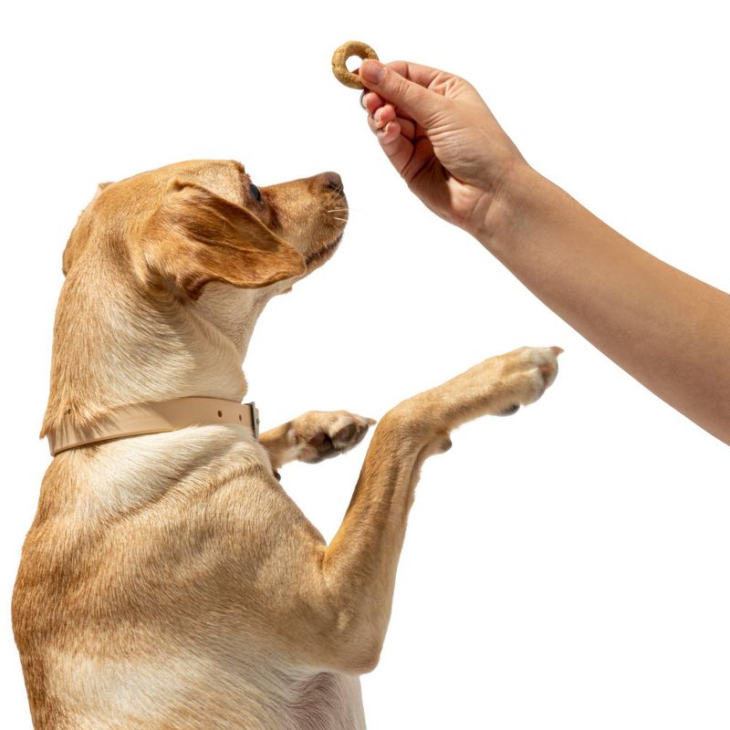 Wild One Organic Fruit Salad Dog Treats - 8oz