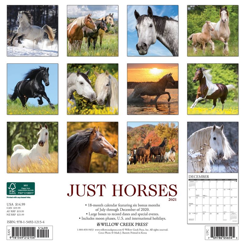 2021 Monthly Wall Calendar Just Horses - Willow Creek Press