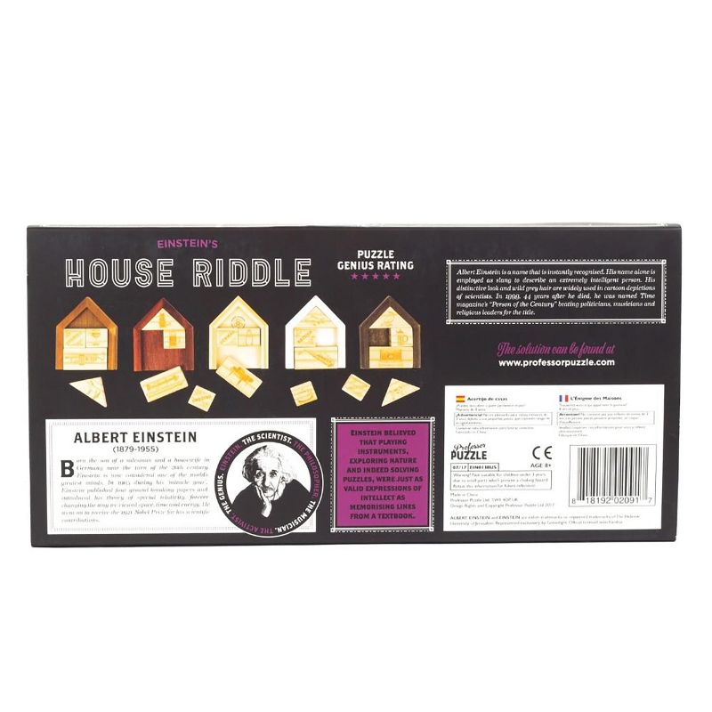 Professor Puzzle USA, Inc. Einsteins House Riddle 3D Brain Teaser Puzzle