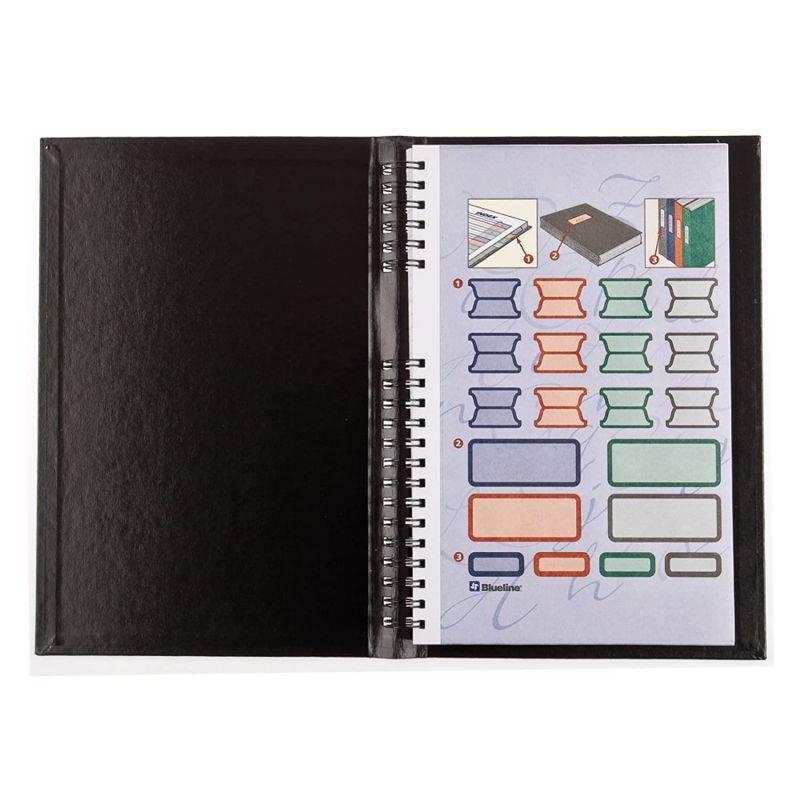 Blueline AccountPro Record Book, Black, 12.5 x 7.875 inches, 300 Pages (A7903C.01)