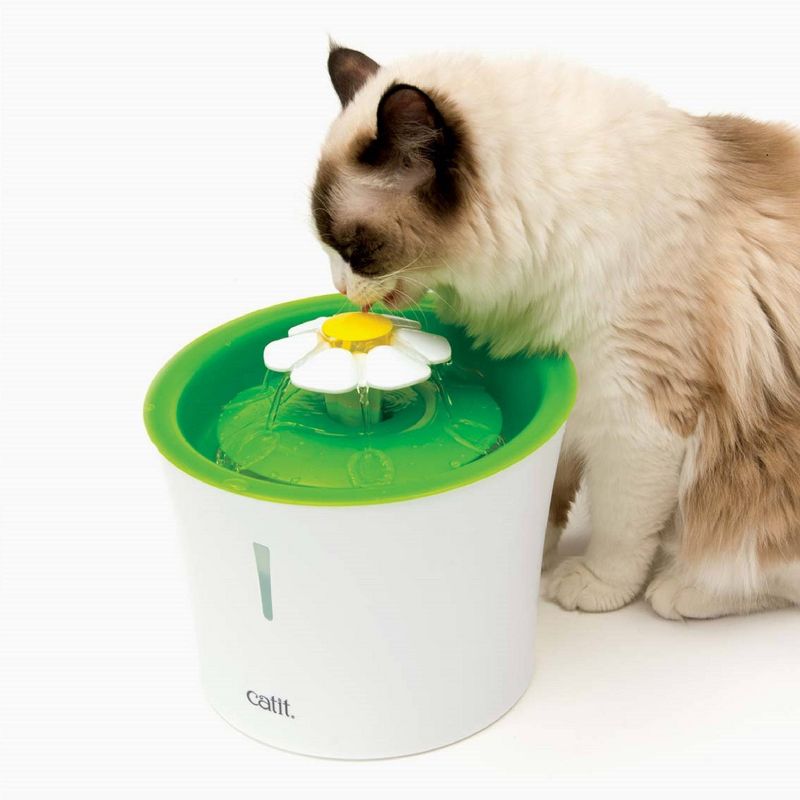 Catit Senses 2.0 Drinking Flower Fountain for Cats