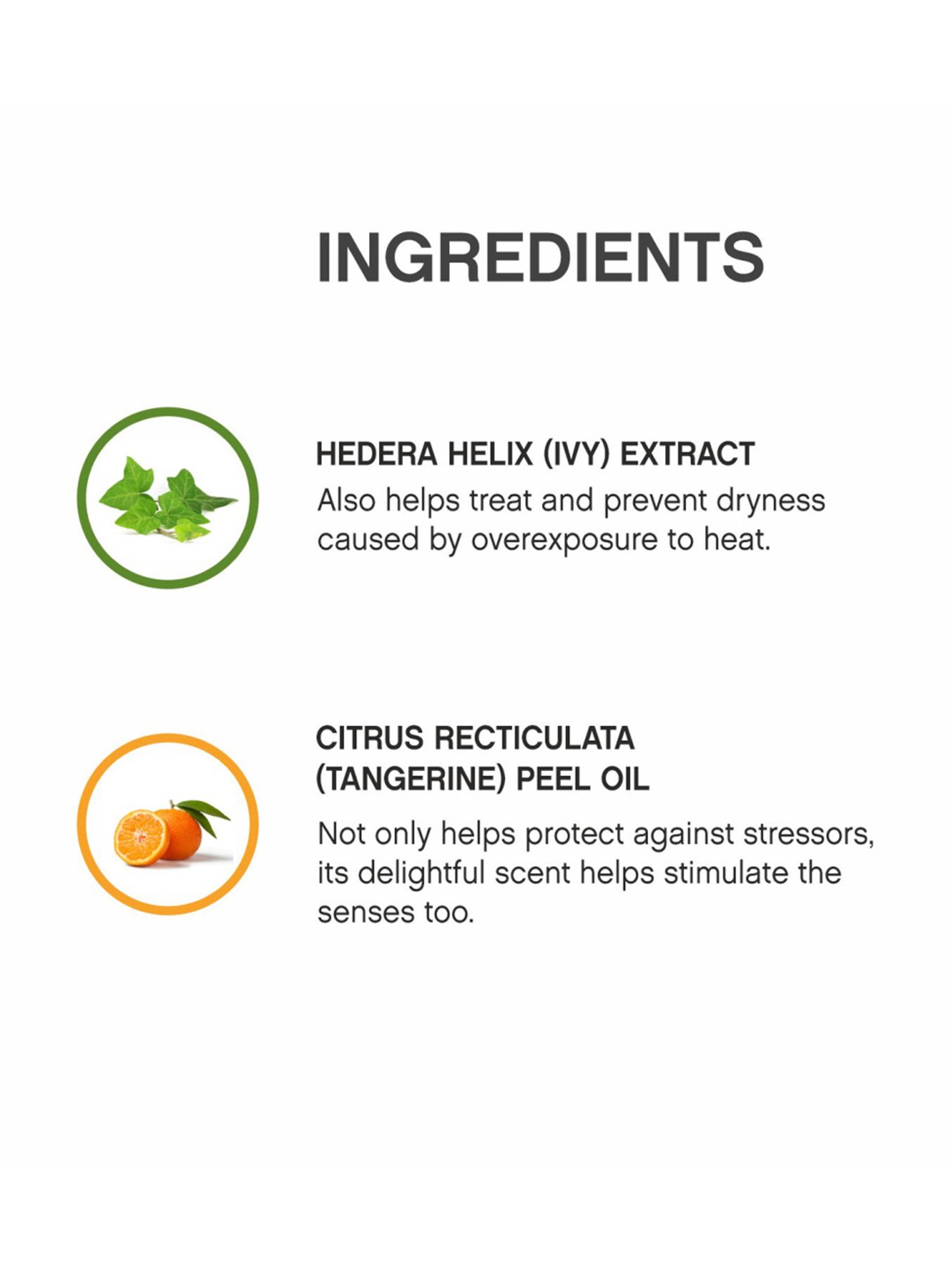 KEVIN MURPHY SESSION.SPRAY 100 ML