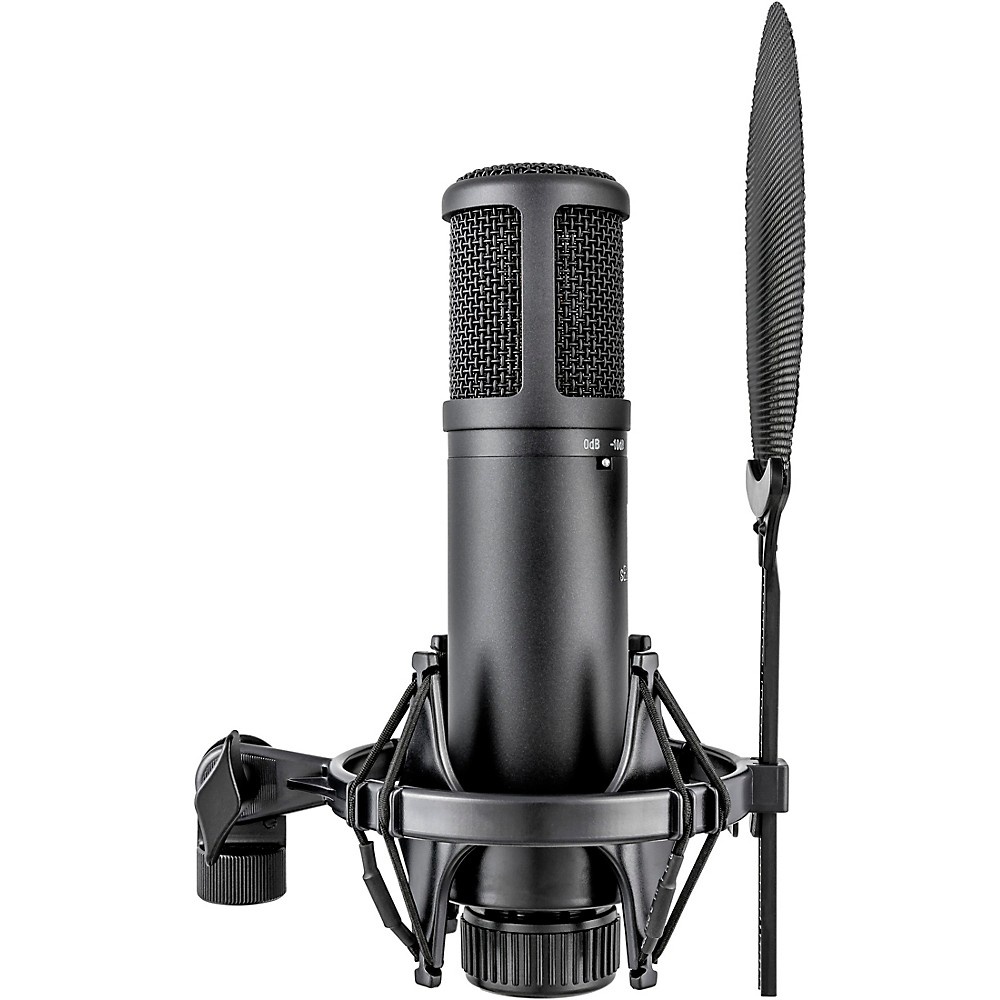 sE Electronics sE2200 Large Diaphragm Condenser Microphone