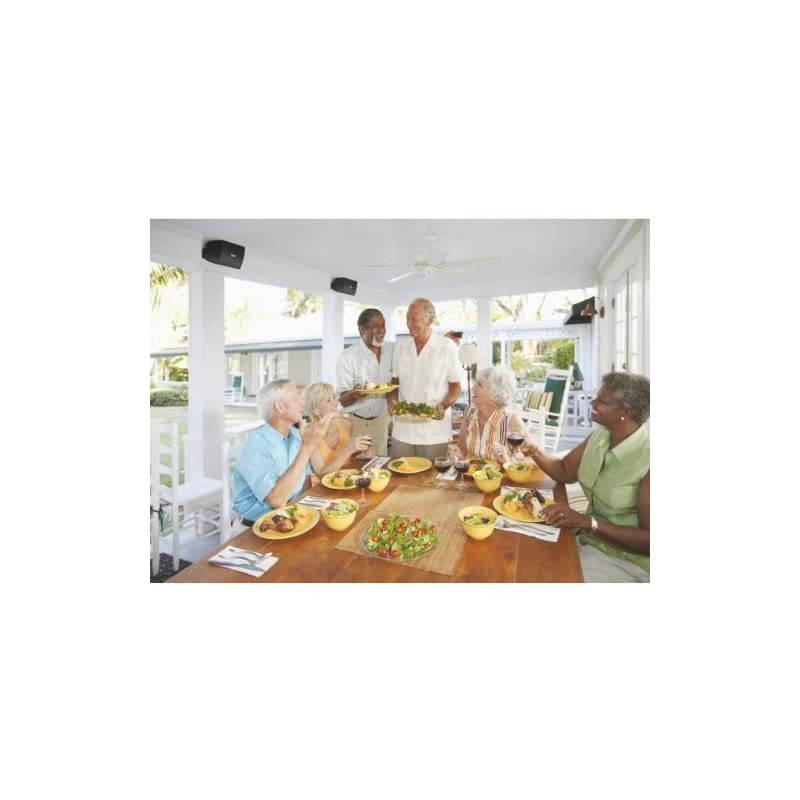 NS-AW294BL Indoor/Outdoor 2-Way Speakers (Black,2)