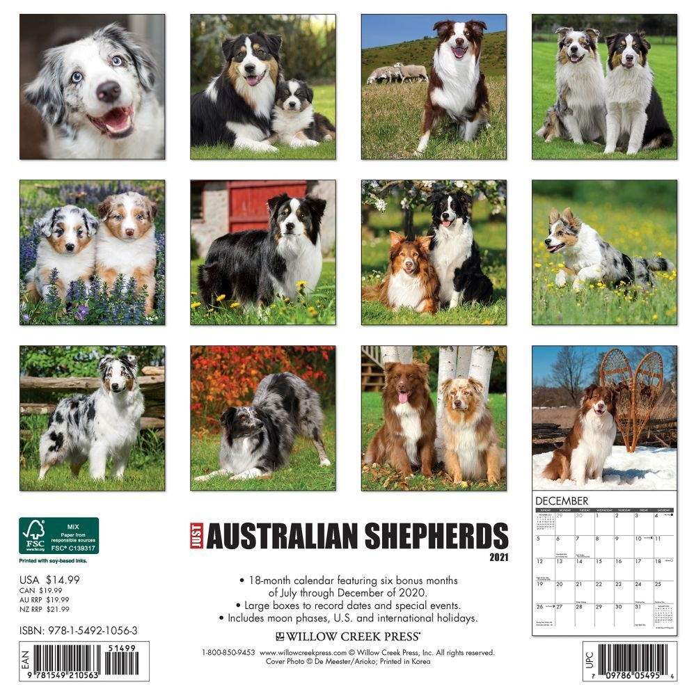 Willow Creek Press,  Just Australian Shepherds Wall Calendar 2021
