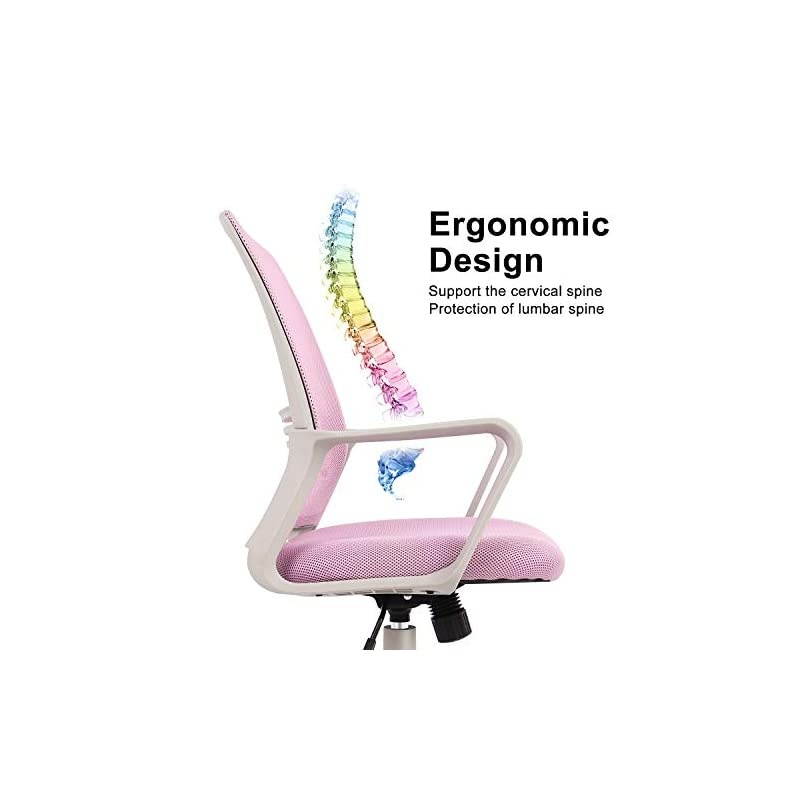 Chair, Mid Back Mesh Computer Swivel Desk Task Chair, Ergonomic Executive Chair with Armrests