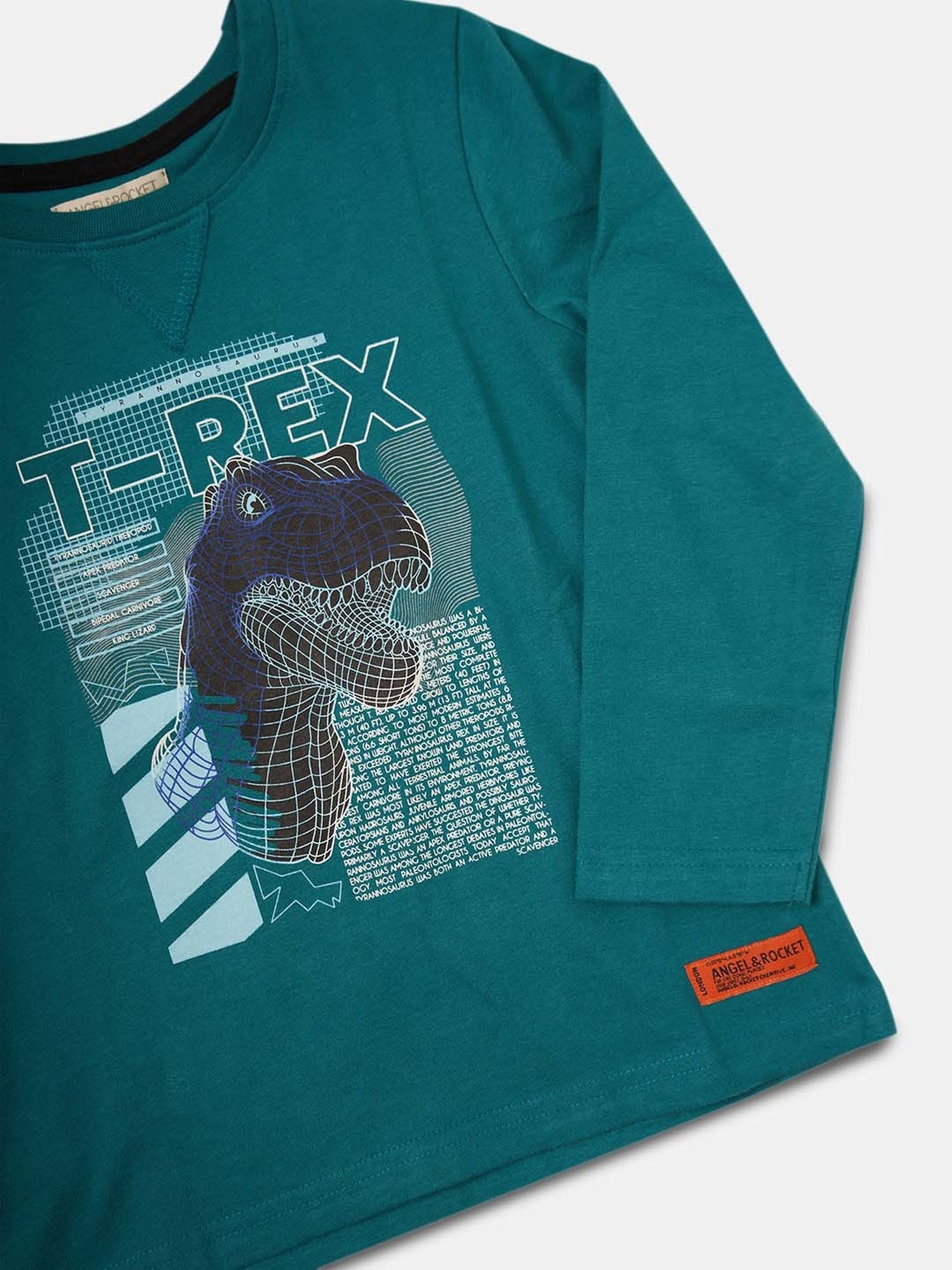 Angel & Rocket Kids Blue Cotton Printed Full Sleeves T-Shirt