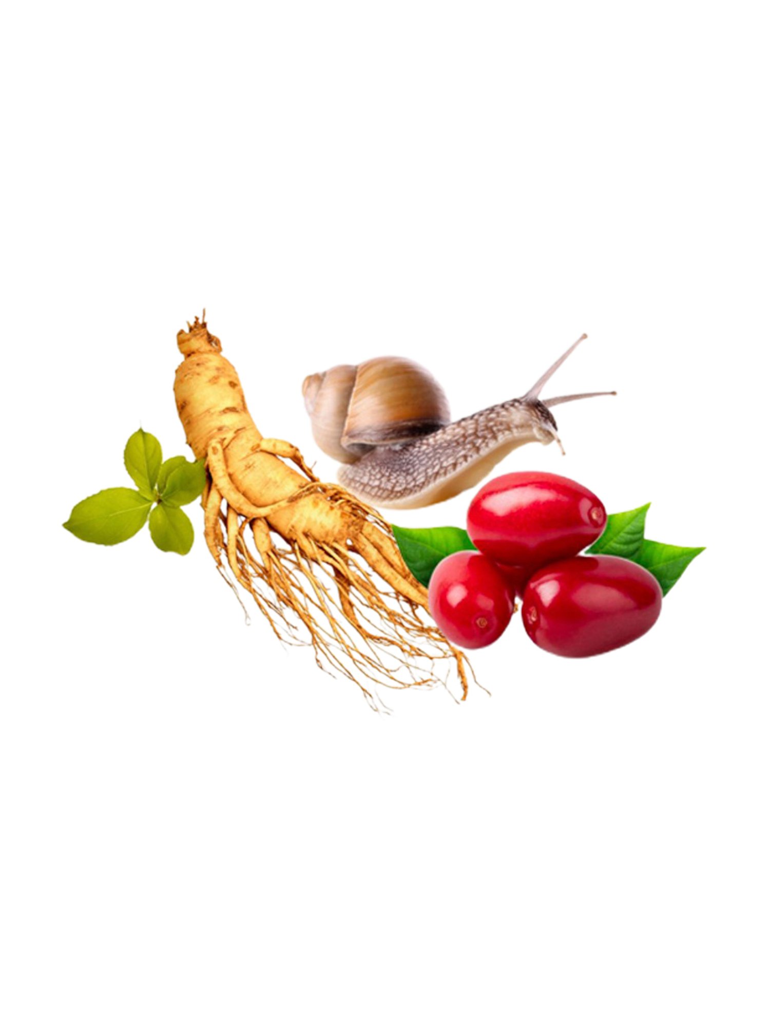 Beauty of Joseon Ginseng + Snail Mucin Revive Serum - 30 ml