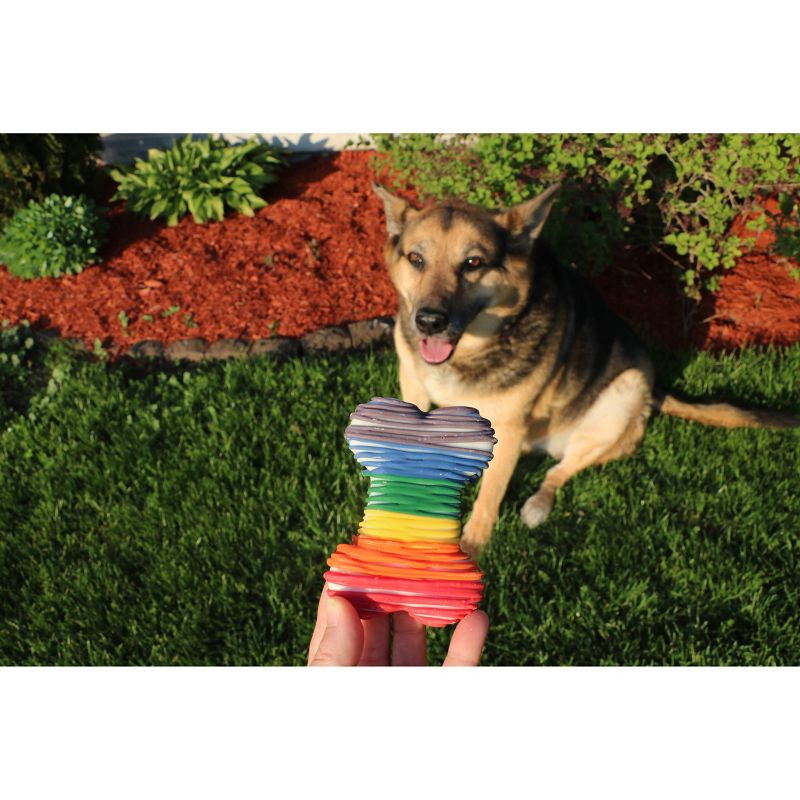 Molly's Barkery Rainbow Striped Bone Cookie Dog Treats