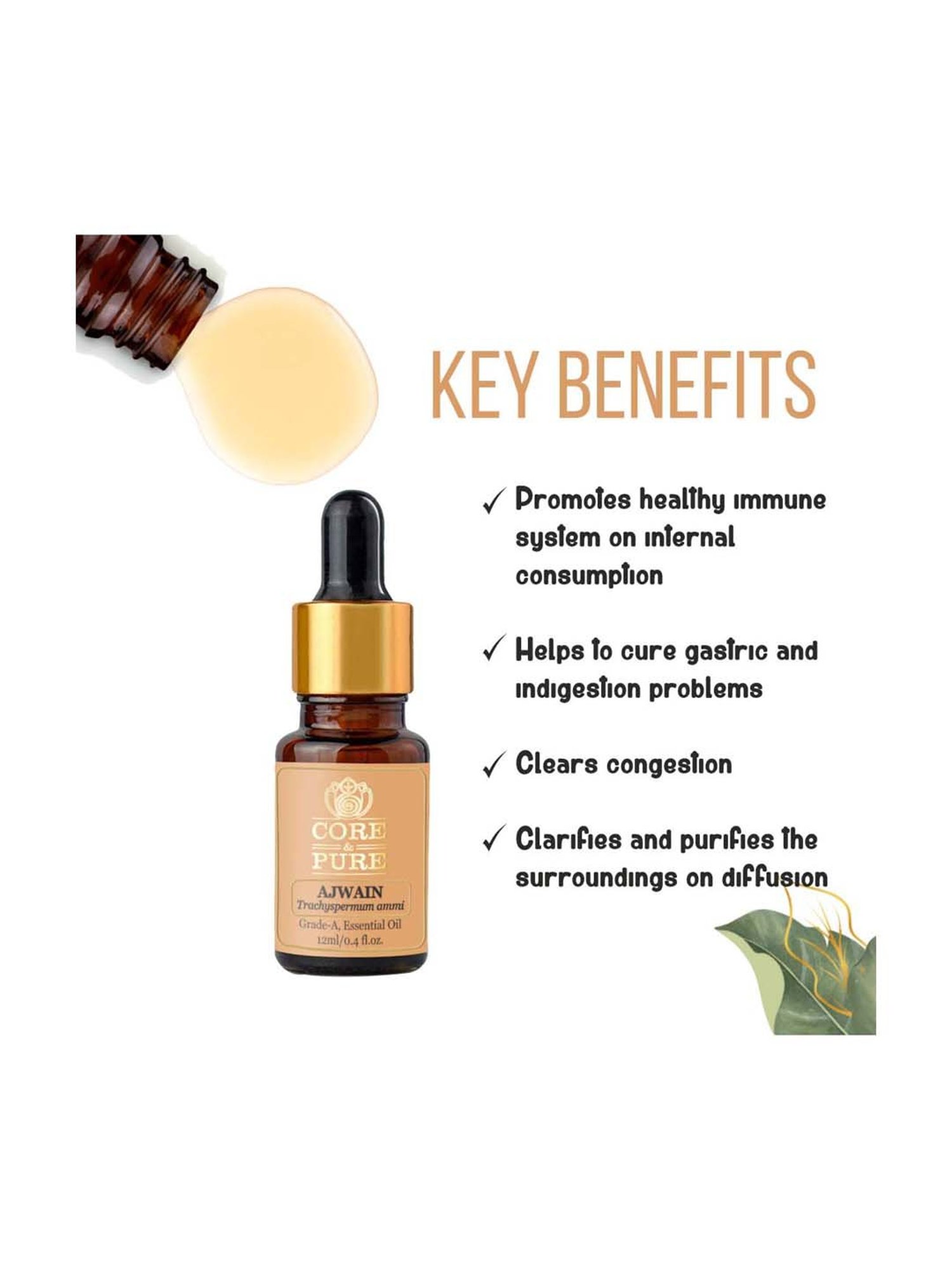 CORE & PURE Ajwain Essential Oil - 12 ml