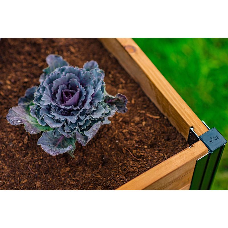 6'x6' Keyhole Garden Square Planter - Vita