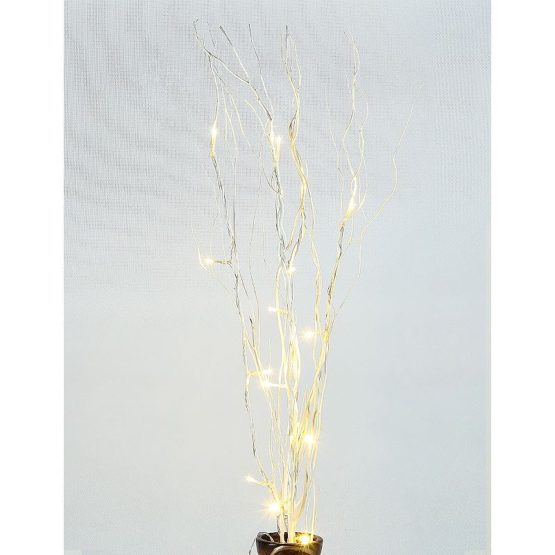 Lightshare 36" 16 LED Natural Twig Branch Light for Home Decoration, Battery Powered - Warm White Lights
