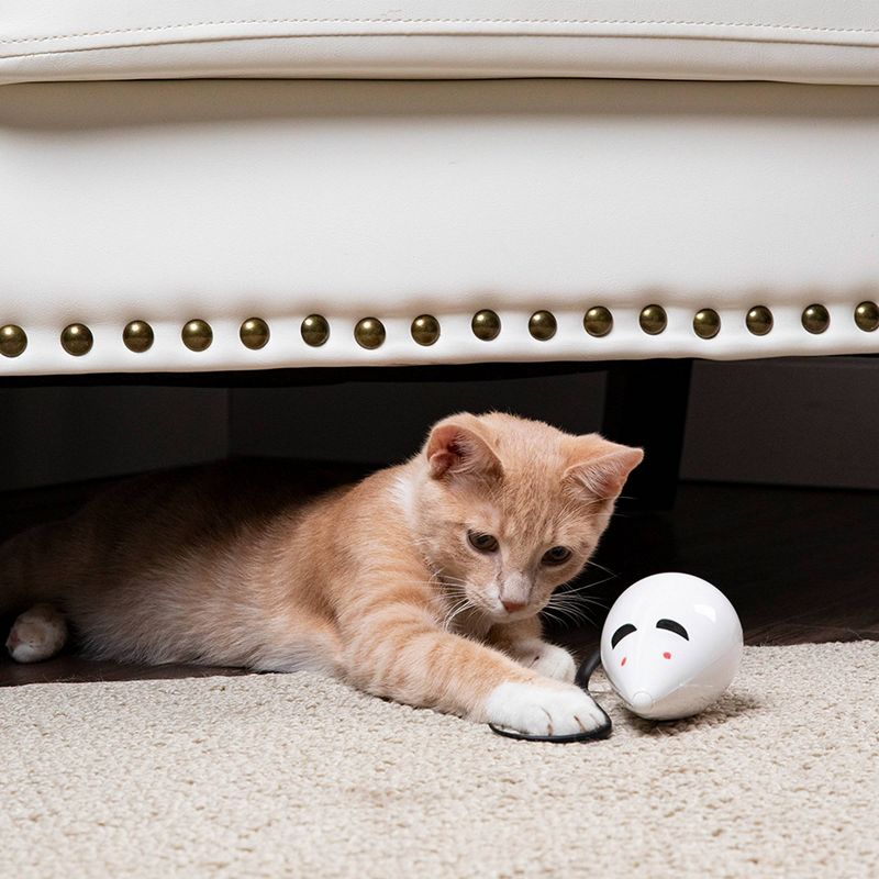 Premier Pet - RoloRat Automatic Cat Toy