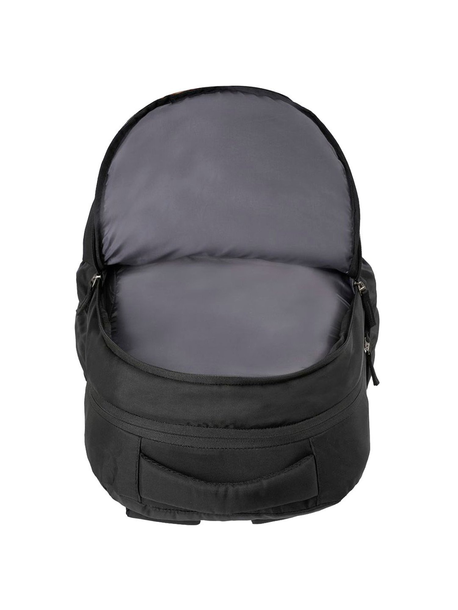 Aeropostale Marlin Black Polyester Printed Laptop Backpack - 23 Ltrs