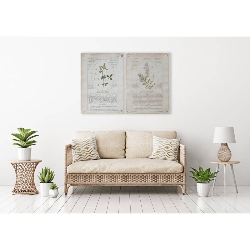 Set of 2 Styles Botanical Descriptions on Canvas with Grommets Decorative Wall Art - 3R Studios