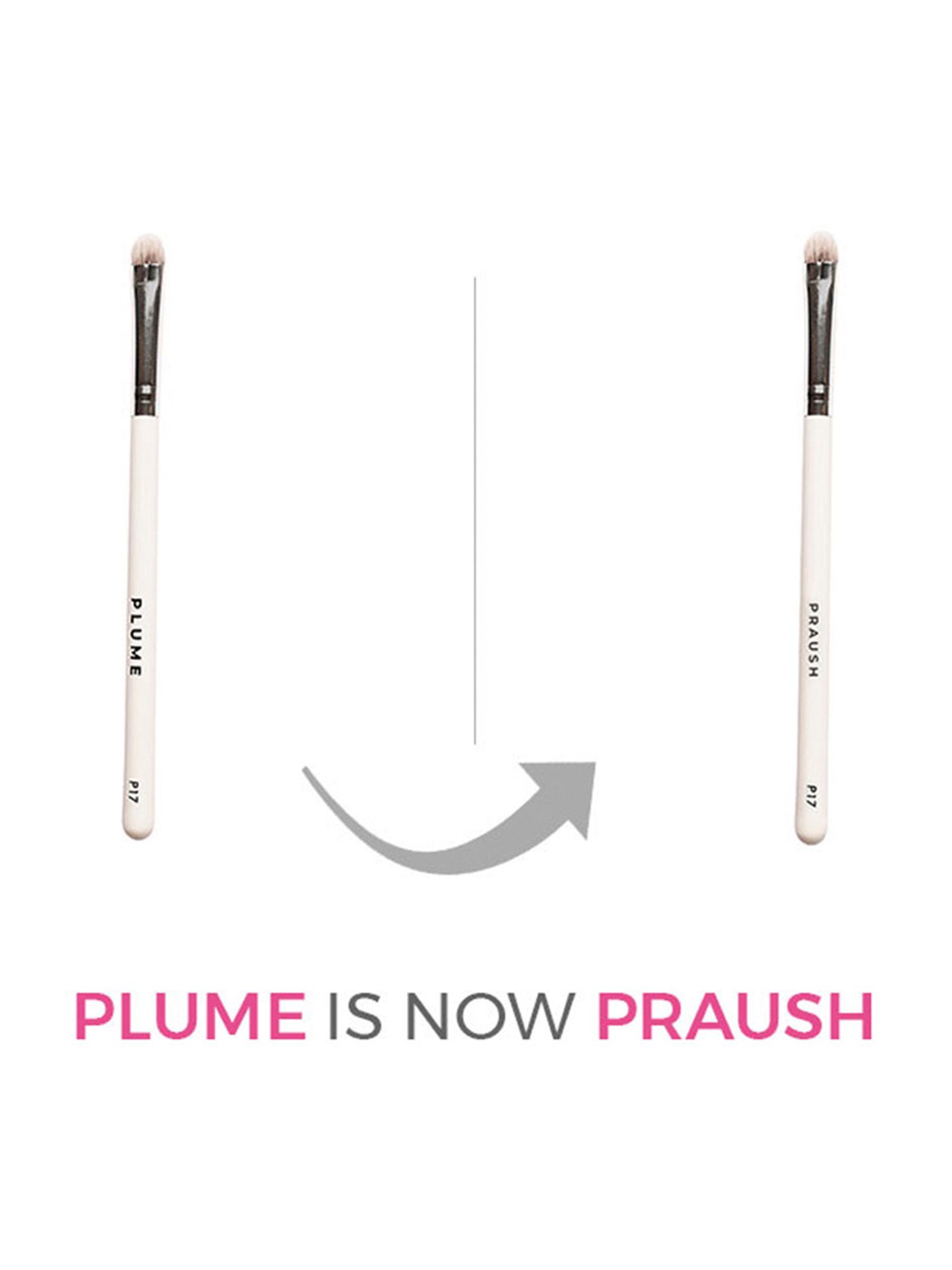 Praush Dense Dome Eyeshadow Application Brush - P17