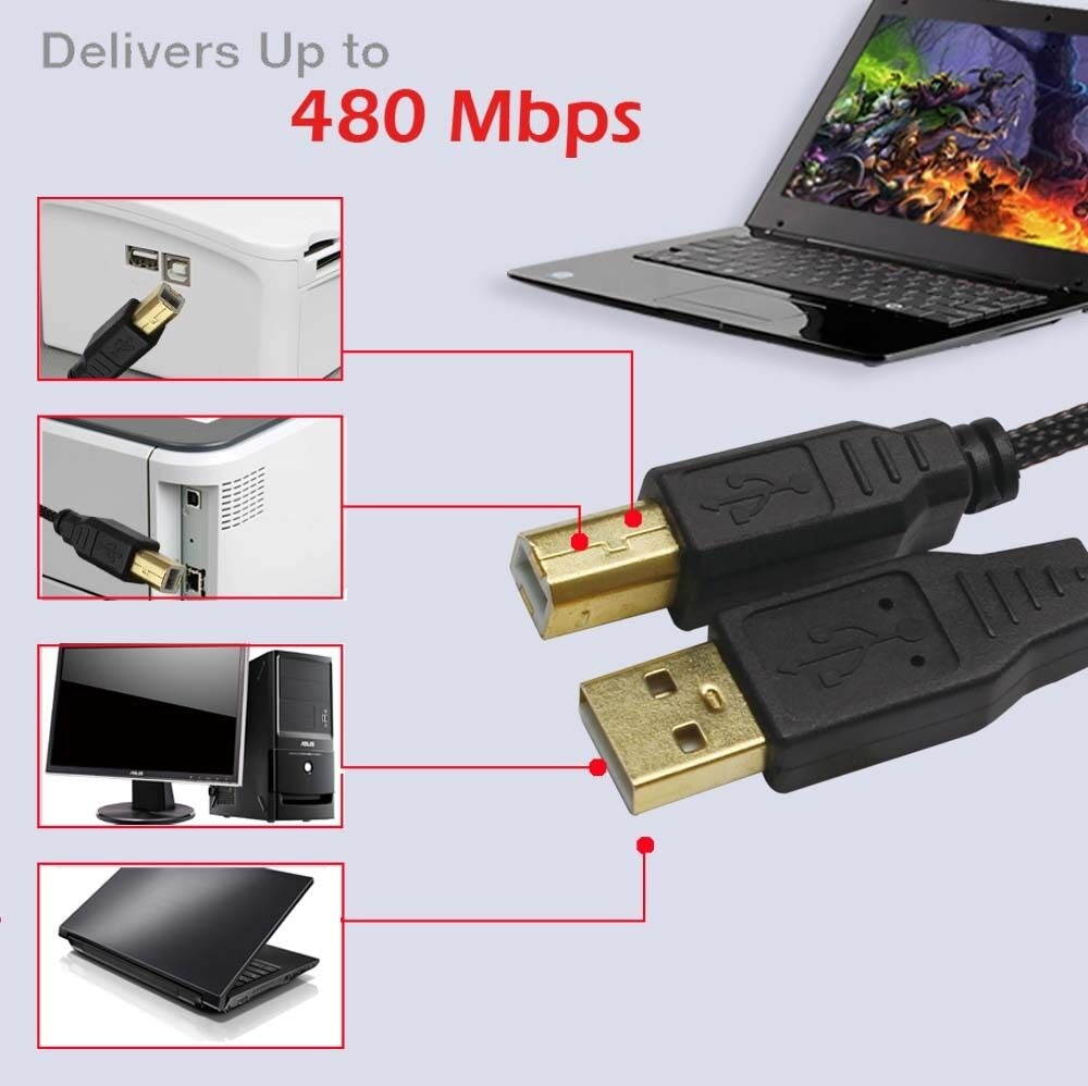 2.0 USB A Male to B Male Printer Cable (6 Feet) - High-Speed with Gold-Plated