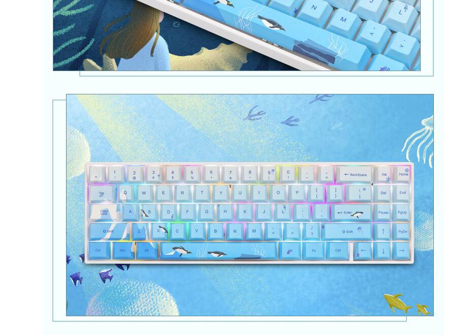 RK71 Mechanical Keyboard RGB Backlit 71 Keys Small Compact Gaming Keyboard, PBT Keycaps Wired/Wireless Bluetooth Mini Keyboard for iOS Android Windows PC and MacOS, Blue Switch( Cherry Blossom)