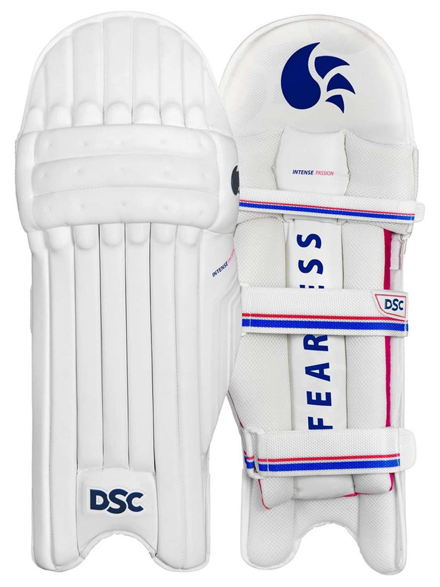 DSC Intense Passion Cricket Batting Legguard Size - Boys