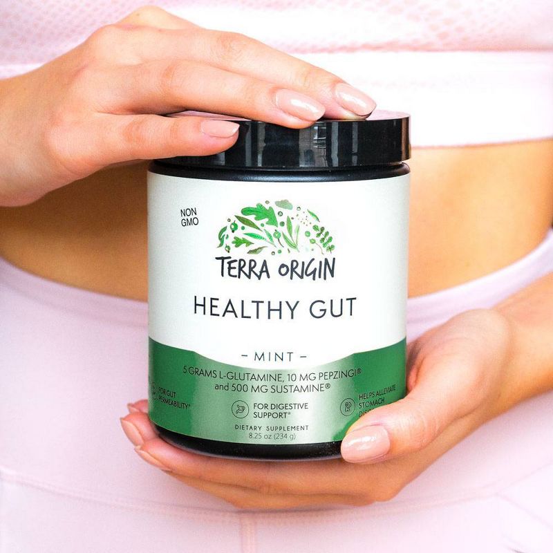Terra Origin Healthy Gut Powder Mint - 7.83oz