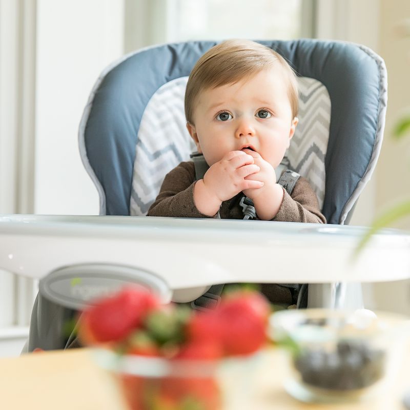 Ingenuity Trio Elite 3-In-1 High Chair - Braden
