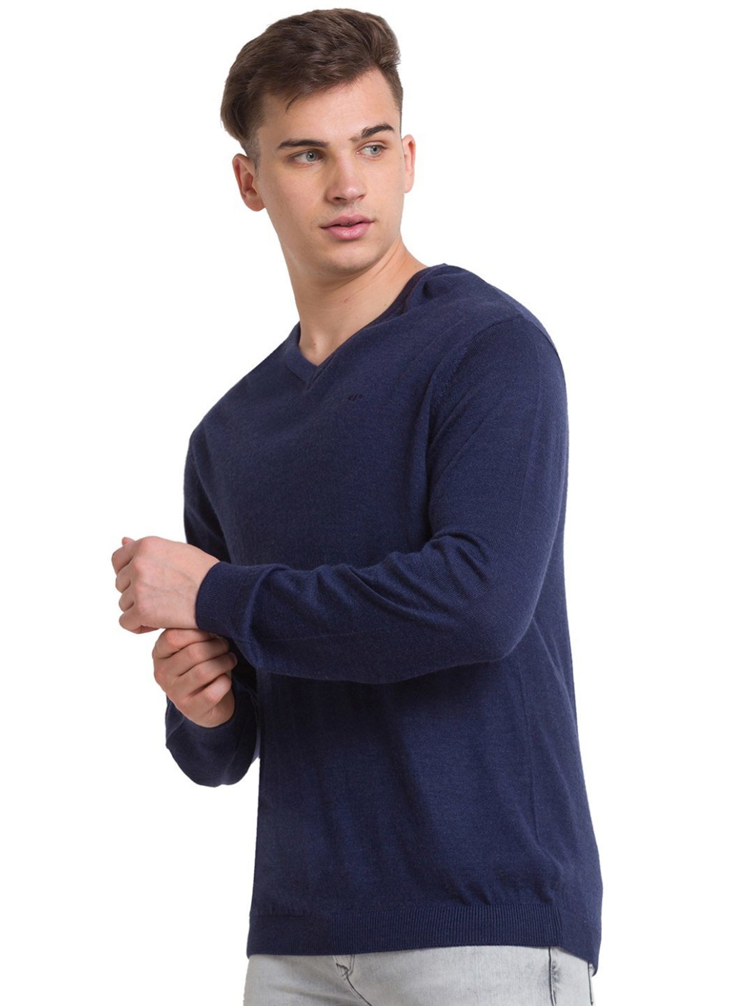 ColorPlus Blue Tailored Fit Sweater