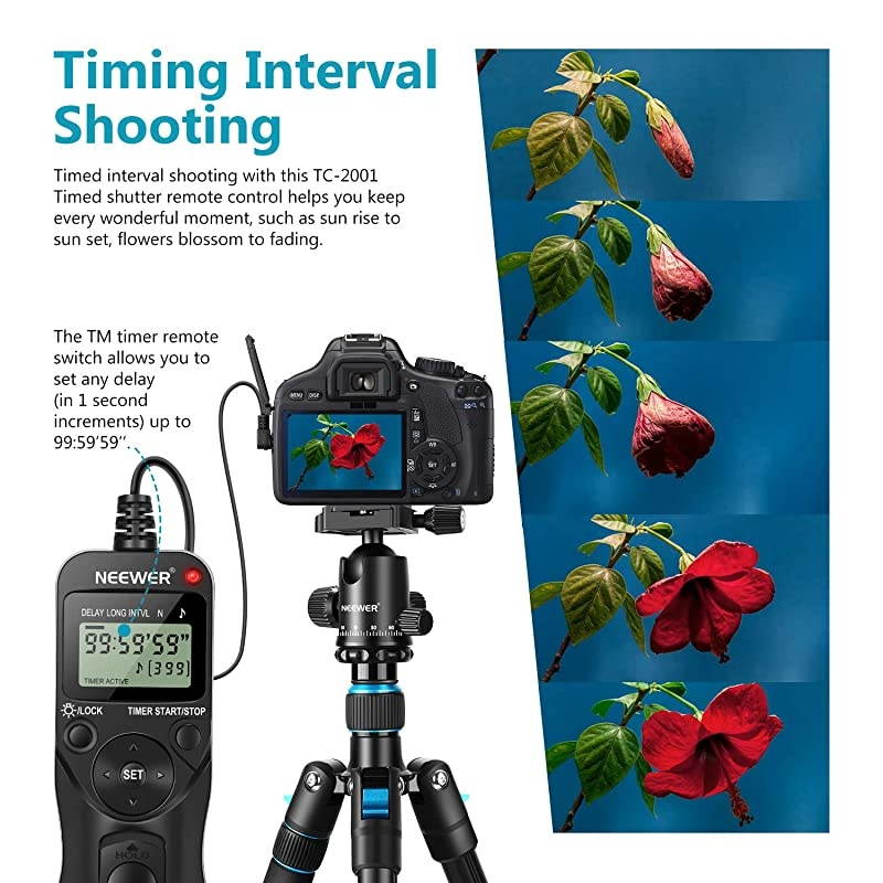 LCD Timer Shutter Release Remote Control for Canon 700DT5i 650DT4i 550DT2i 500DT1i 350DXT 400DXTi 1000DXS 450DXSi 60D 100D and Pentax