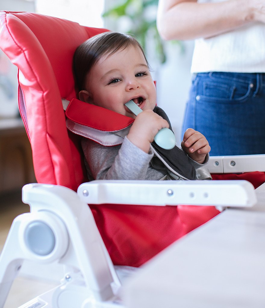 Inglesina Gusto Highchair